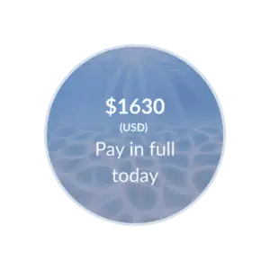 Deep Dive Course for Existing Members (paid in full)